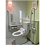 Toilet infection control: UV + ozone air purifier