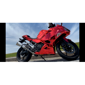 Silver mirror coating examples | Make your motorcycle fairings shine!