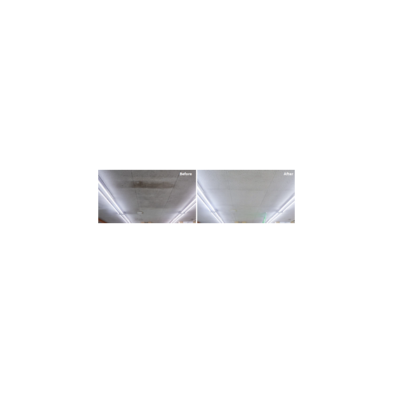 IPROS5292705149941737267.png