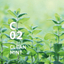 [Virus Protection] Essential Oil "Clean Air" Series