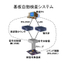 Substrate Automatic Inspection System