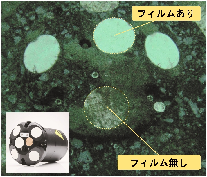 海洋生物付着抑制フィルム NortekADCP専用