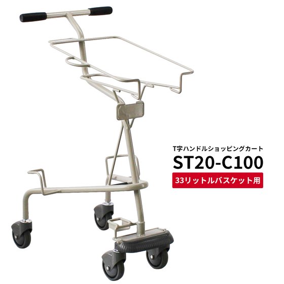 ST20-C100-1.jpg