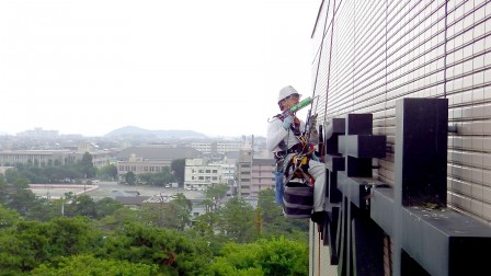 【資料】鳩の被害は本当になくなるの？