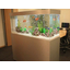 [Installation Examples of Aquariums] Office
