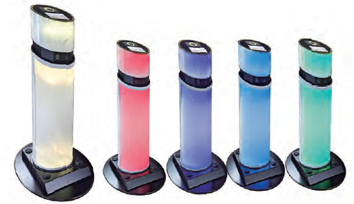 認証機能付きチェックゲート『PitSat-KAGUYA』