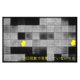 オンサイトEL測定サービス『トライアルパック3』