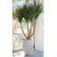 Planter "OYSTER"
