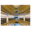 Construction Case Studies: ALMIC Facade Service