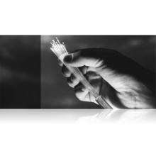 フィリピン進出支援サービス