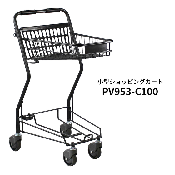 PV953-C100-1.jpg