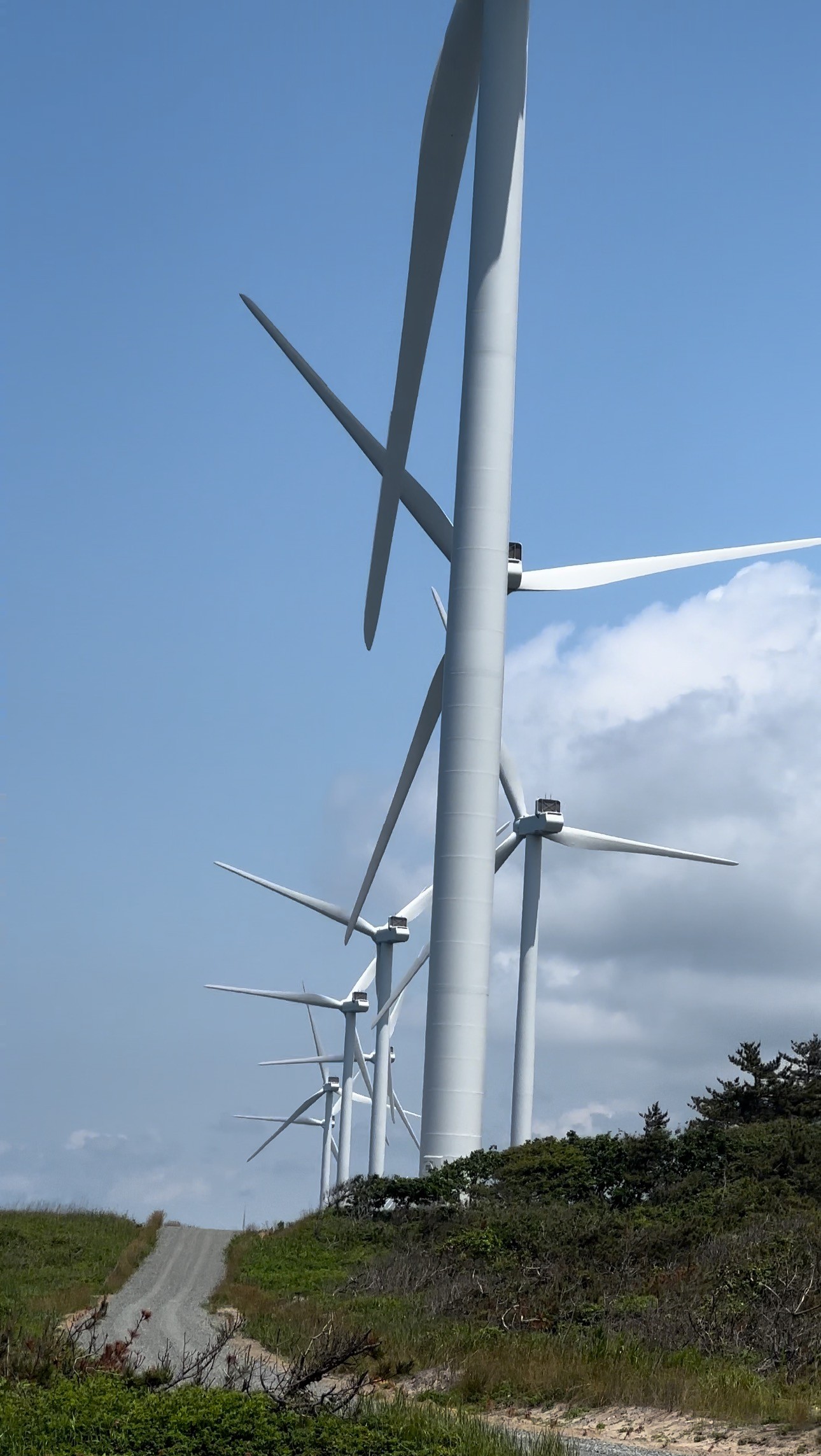 土地の有効活用で風力発電をサポート