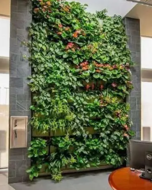 壁面緑化サービス