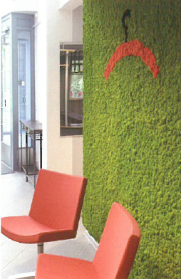 北米のカラフルなコケ【ポーラモス】