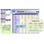 Consolidated Accounting System "BTrex"
