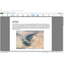 PDF editing software "PicoPDF" <Business Edition>