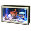 Virtual Aquarium "Fish Eight Scenery 4K"