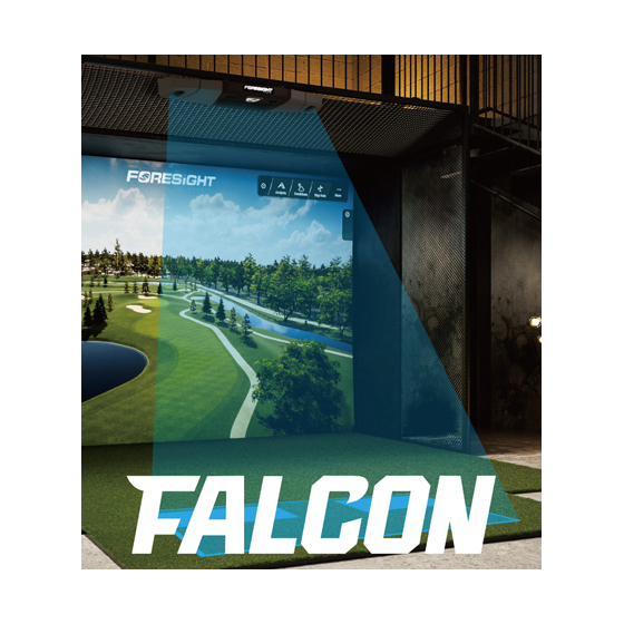 falcon.jpg