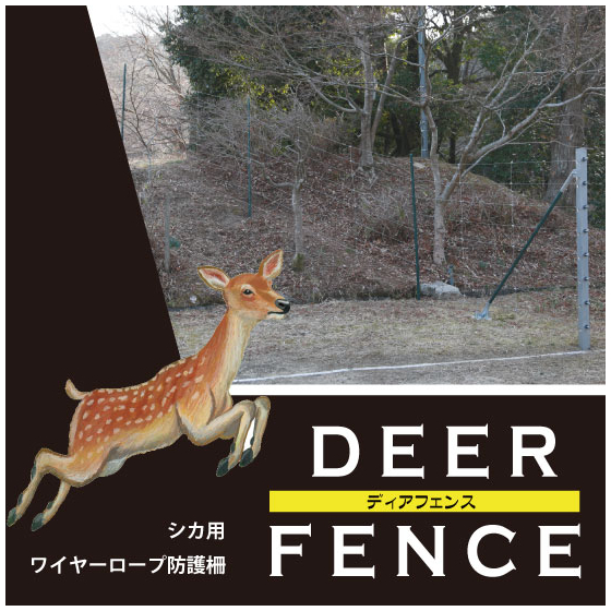 画像1.jpg