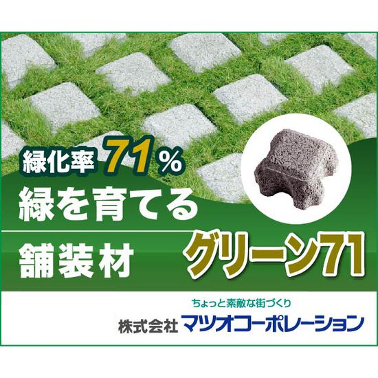 緑地と環境緑化計画 改訂版　景観緑地/フジ・テクノシステム/景観緑地研究会（単行本） 緑地と環境緑化計画 改訂版 景観緑地/フジ・テクノシステム/景観