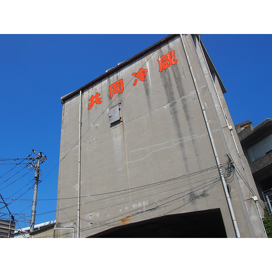 aP7071107.jpg