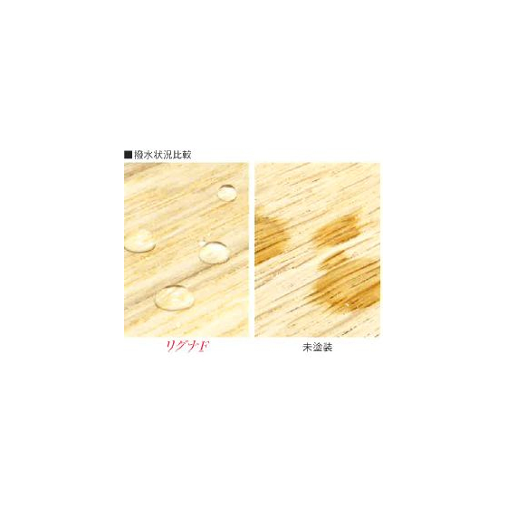WS000002.JPG