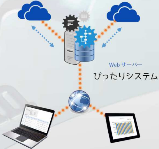 ぴったりシステム
