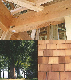 株式会社林友  事業紹介