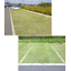 [Case Study of Turf Makeover] Learning Forest Kusunoki (Ube City, Yamaguchi Prefecture)