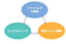 受託解析／コンサルティング