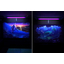 Blacklight art