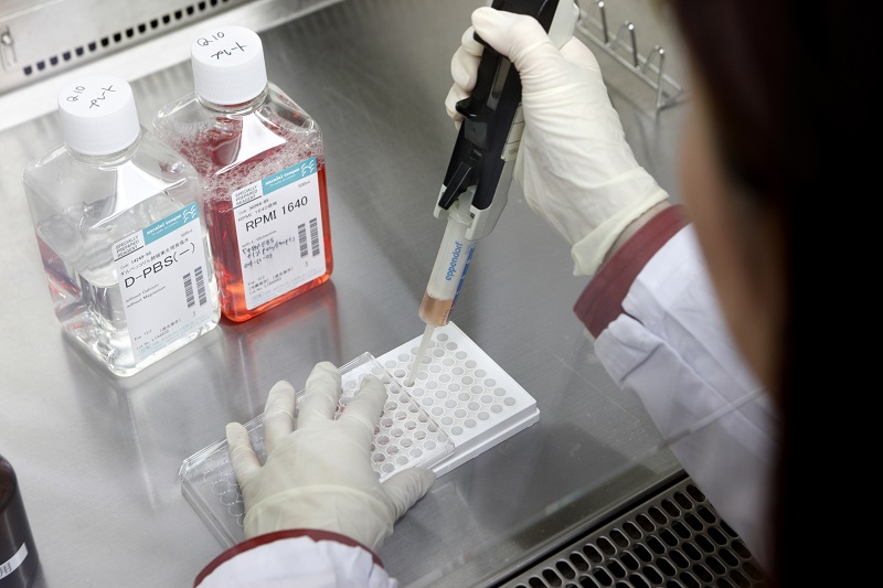 ダイオキシン類迅速法(生物検定法)「ケイラックス アッセイ」