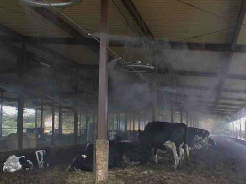 【ミストシステム活用事例】牛舎