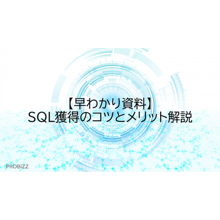 image_2025_7_25_11.png