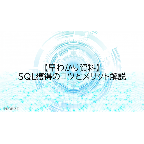 image_2025_7_25_11.png