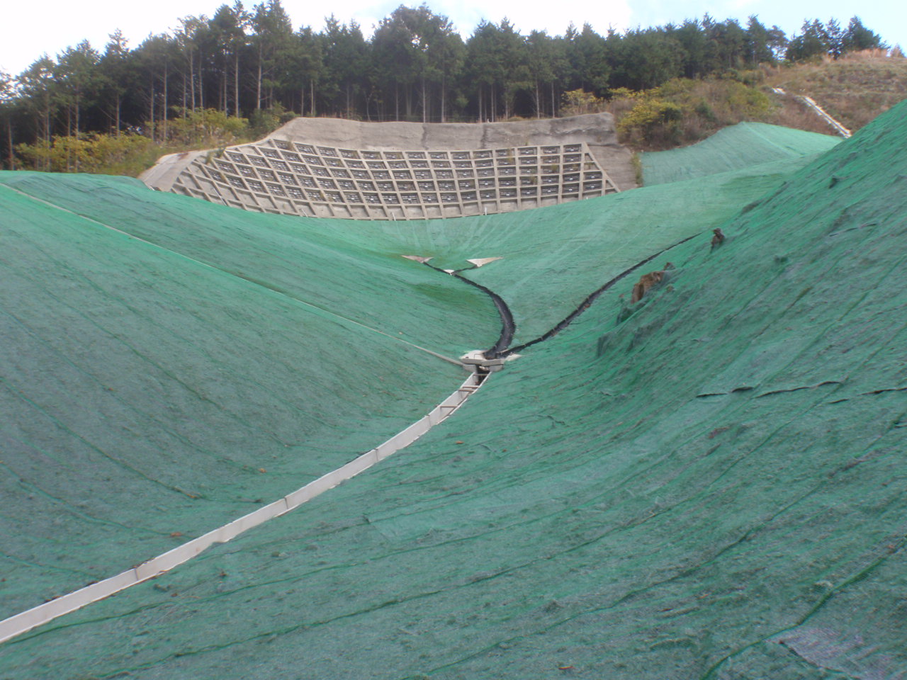 緑化資材『スーパーエース』