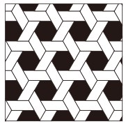 三軸織物『T.W.F』