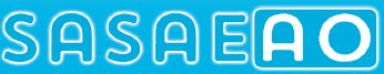 双方向コミュニケーションサービス『SASAEAO』