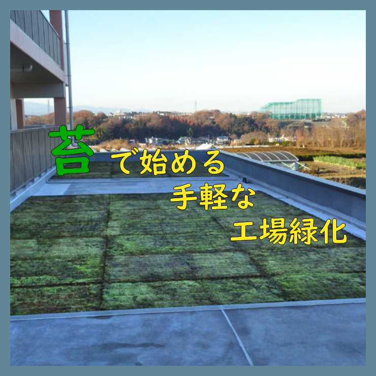 苔(コケ)で始める手軽な工場緑化