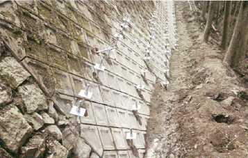 地山補強土工法『EPルートパイル工法』