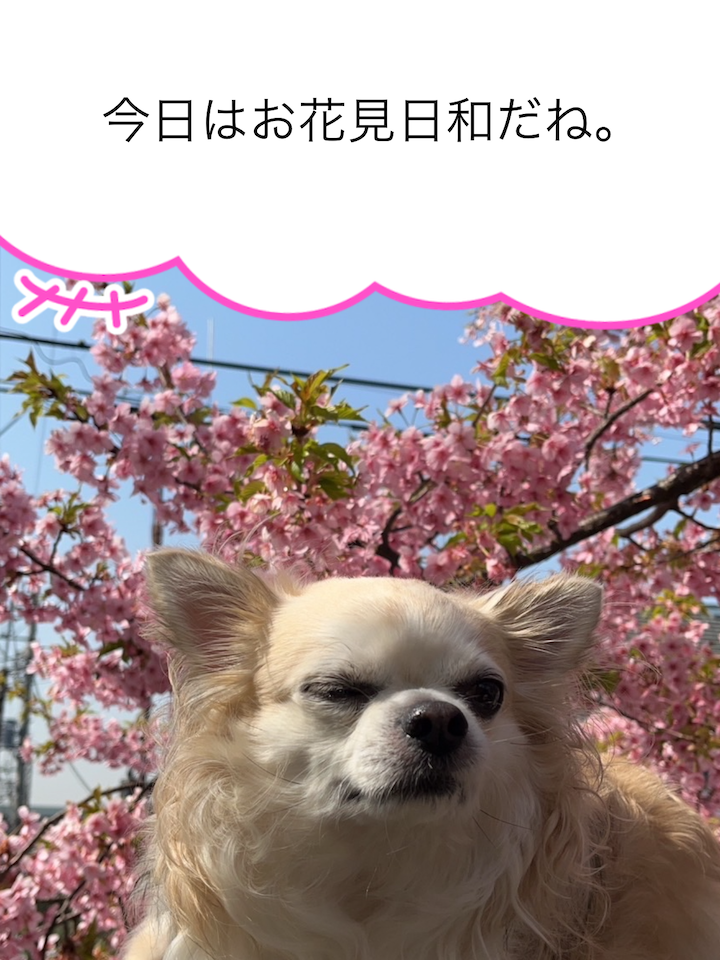 画像生成アプリ『ペットの気持ちAI』