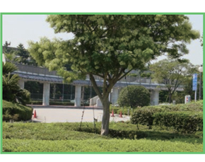 樹木用『ワイヤー支柱』