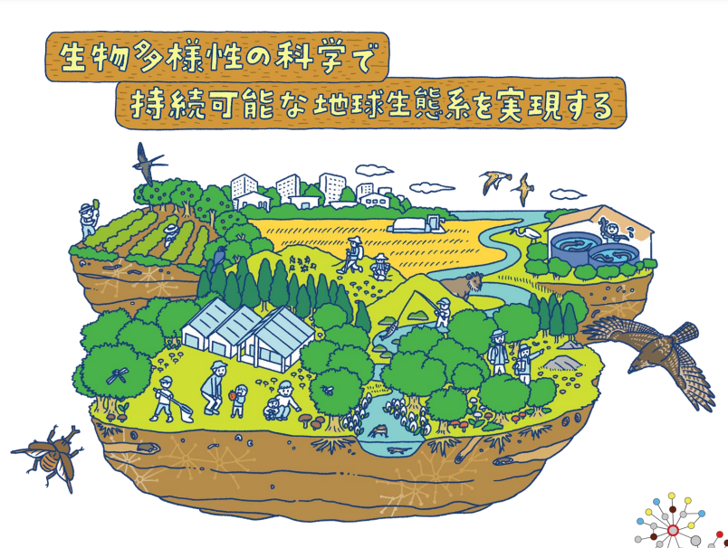 生態系・生物多様性の診断に基づくコンサルティングサービス