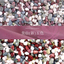Gem gravel and stones "Bisen Shingoshiki"