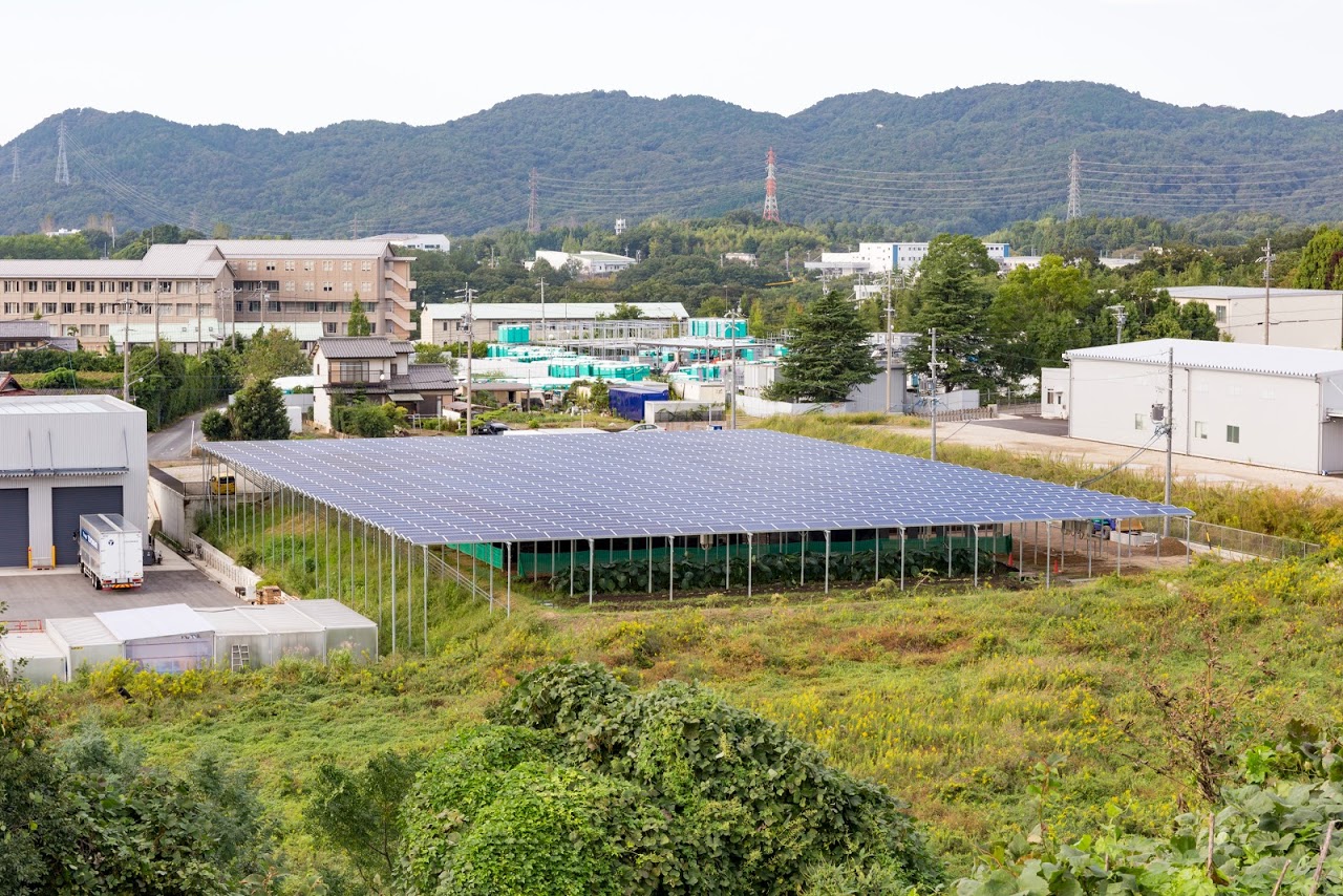 [営農型太陽光発電]ソーラーシェアリングによる農地の有効活用法