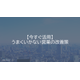 image_2025_7_16_12.png