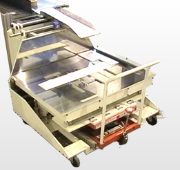 カートン箱詰めアシスト装置『Carton Encaser』