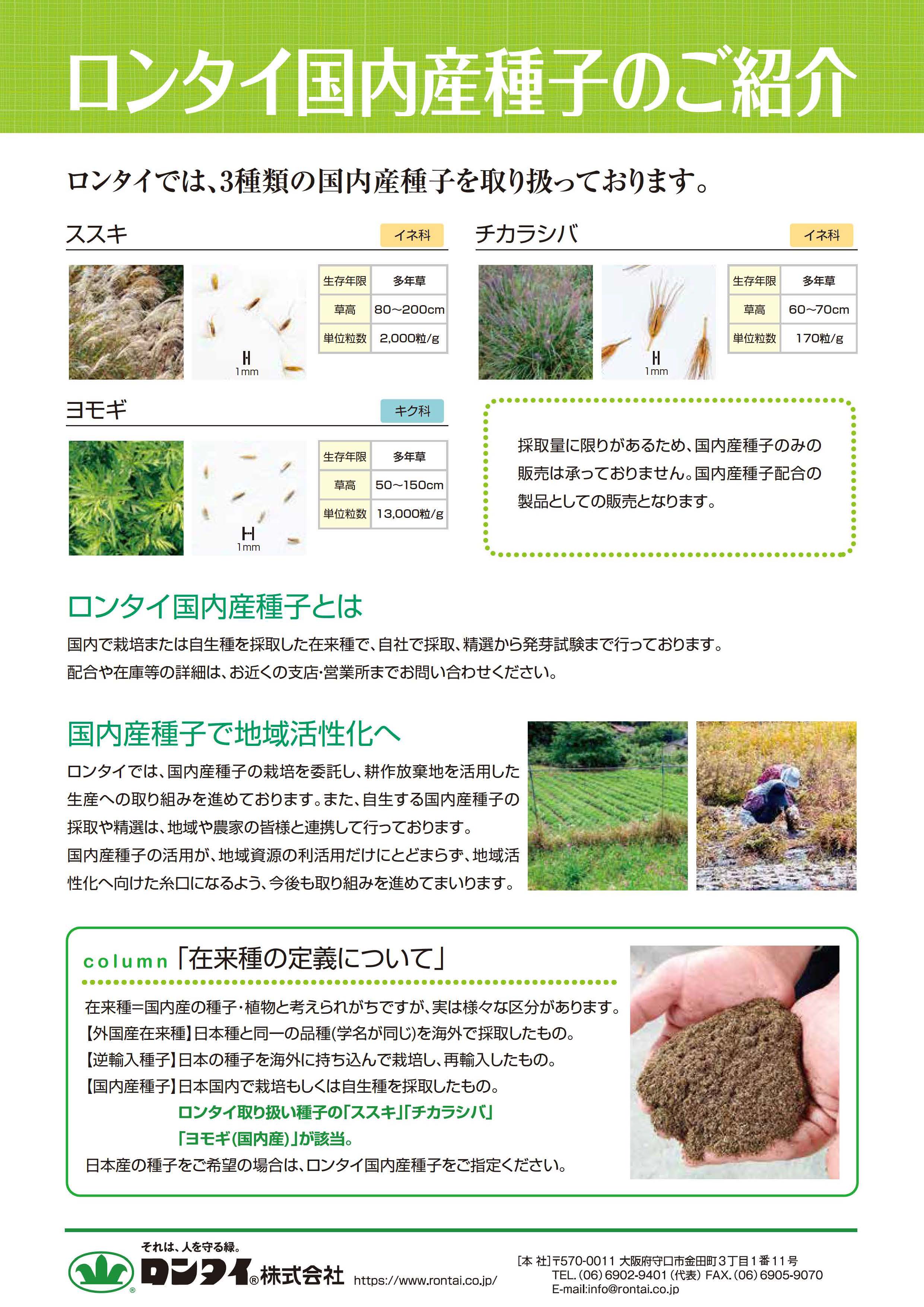 【ロンタイ】国内産種子のご紹介