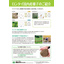 Introduction of domestically produced seeds 【Rontai】