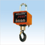 Crane Scale "Handy Cosmo (2kg/5t)" [Rental]